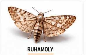 Ruhamoly elleni kezelés – InsectPRO