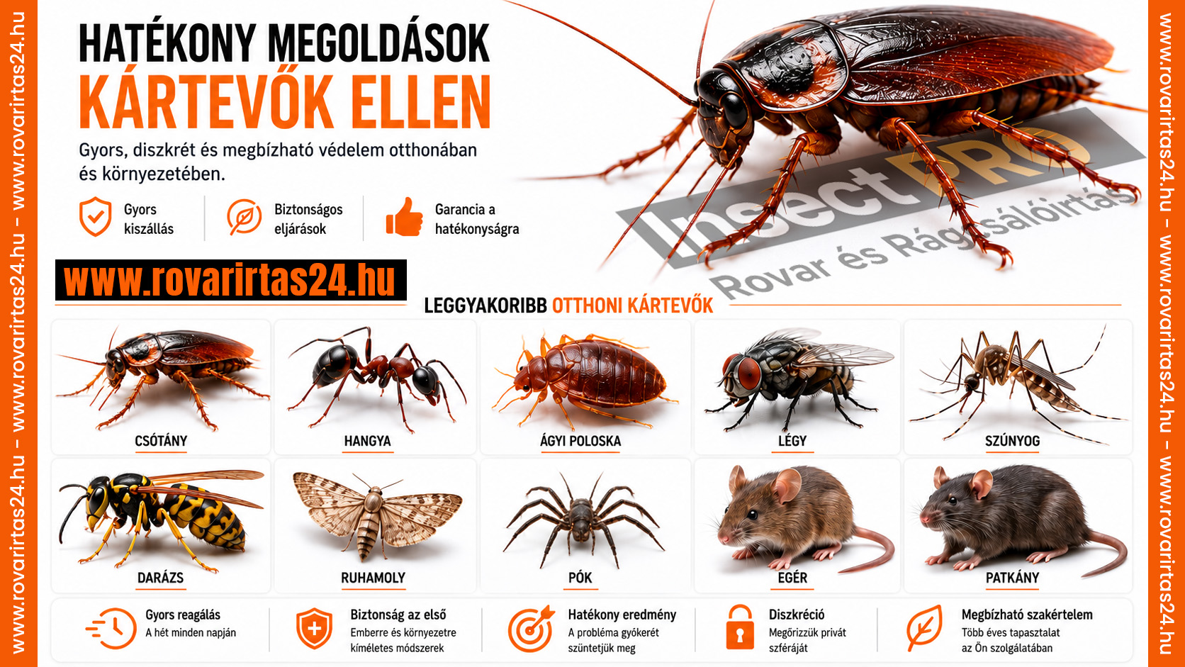 Hatékony megoldások a leggyakoribb otthoni kártevők ellen